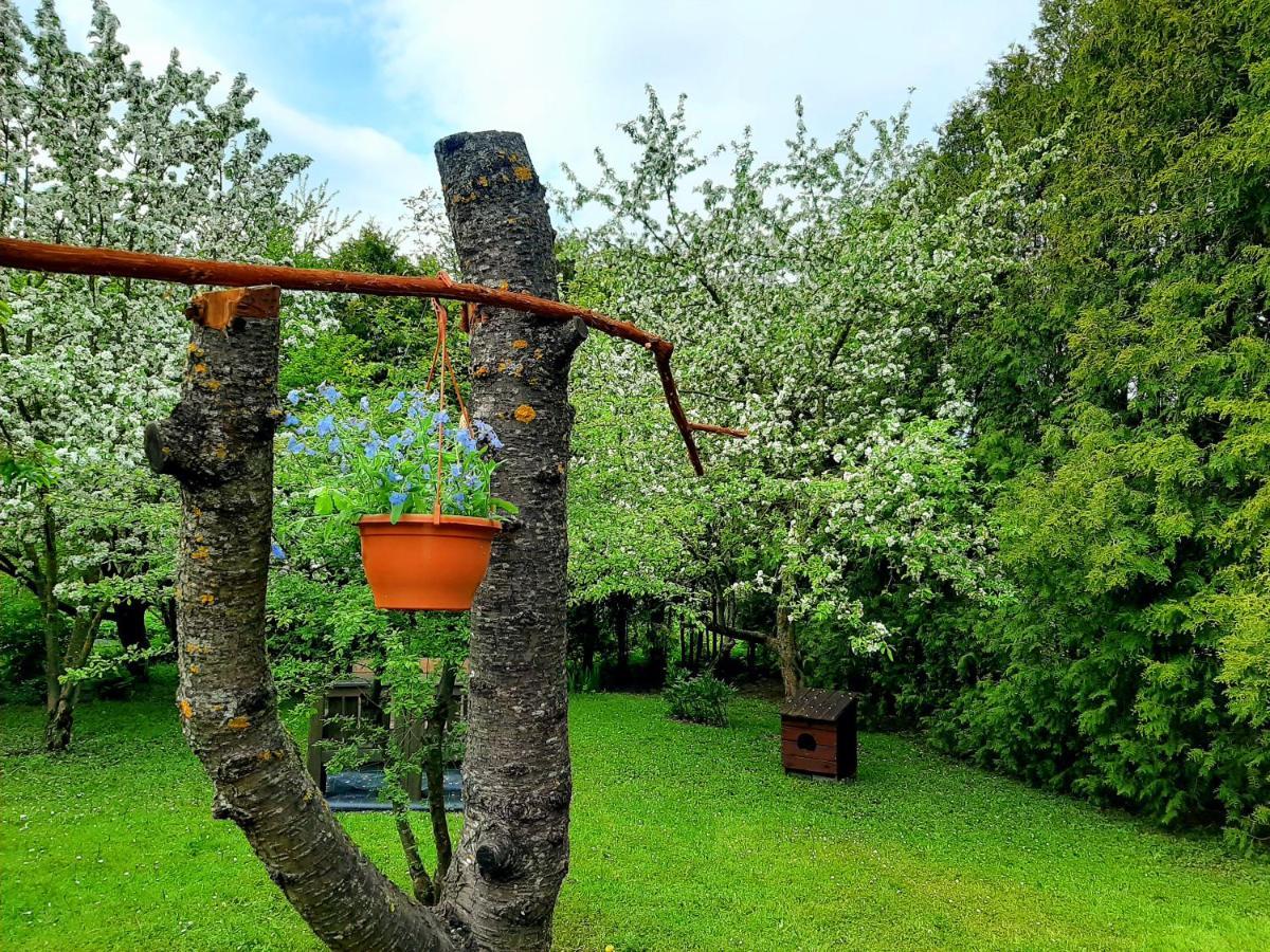 Champetre Park View Apartments Riga Luaran gambar
