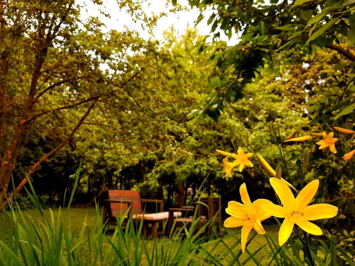 Champetre Park View Apartments Riga Luaran gambar