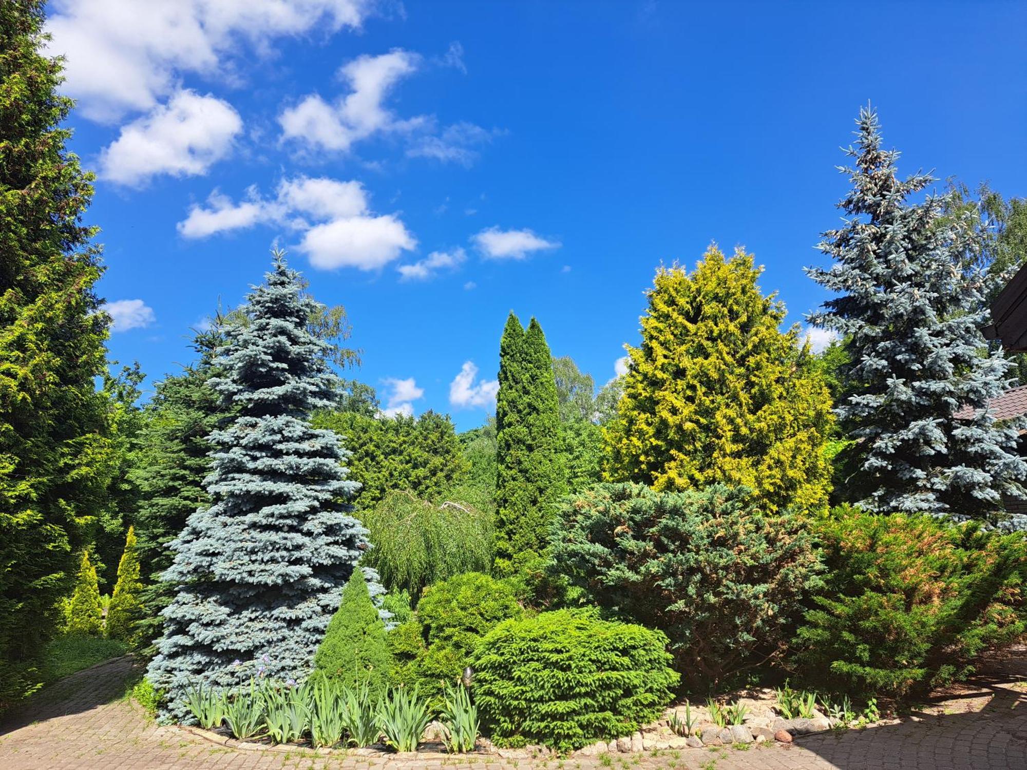 Champetre Park View Apartments Riga Luaran gambar